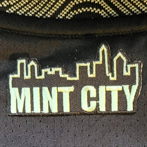 Mint City ™️ Charlotte Skyline Patch